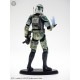 Commander Gree (Order 66) 19cm